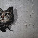 노총 이용원