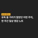 5천 자가 넘는 한 주 간의 일상 영감 노트