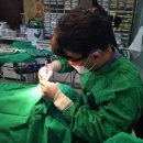 김병철치과의원 이미지