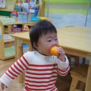 서일유치원 이미지