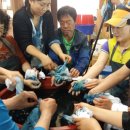 쪽빛나라 이미지