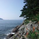 고대도6 이미지