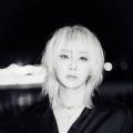 타이거릴리엔터테인먼트