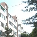 역곡현대1차아파트 네이버블로그