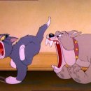 톰과제리 이미지