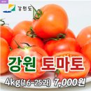 강원특판 이미지