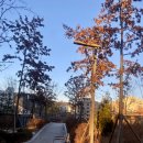 경기도 수원시 팔달구 수원천로210번길 37 (인계동) 이미지