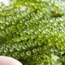 이로운바다 이미지