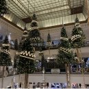 로로막쉐 | (파리 여행) 파리에서 쇼핑하기 좋은 백화점, 봉막쉐 - 멤버십 할인 쇼핑 팁, 노엘 시즌 장식