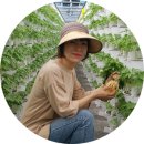 베데스다농장 이미지