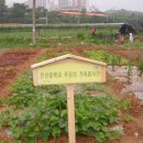 푸르미농장 이미지