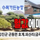 면수농장 이미지