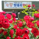 25시배터리 이미지