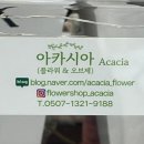 아카시아 - 아산시 | [전주/효자동 꽃집] 센스있는 감성 꽃집 ‘아카시아’ | 기념일 꽃다발 대만족 후기