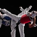 국민태권도 이미지