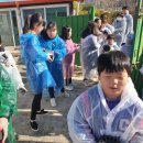 행안초교 이미지