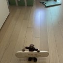 일룸용산 | 일룸 쿠시노, 안데르센 데이베드 고민하다가 구매한 숲소리(판교점)포미오 아기침대 구매 후기