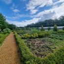 라온혜윰힐링센터 이미지