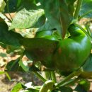 영미민박 이미지