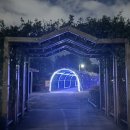 장자호수공원(시민의숲) | 남양주 구리 빛 축제 아쉬웠던 솔직 후기│주차 팁 + 정확한 위치 안내