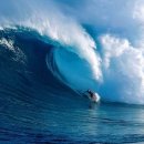 비발디사계 이미지