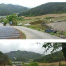 라온부동산중개사무소 이미지