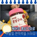 유케어(U-Care) | 우리 아이 첫 홍삼영양제, 케어유 홍삼구미 후기