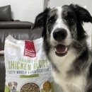 디어댕댕 | 포옹 테리셔스, 다양한 단백원이 많아 만족한 내돈내산 후기!