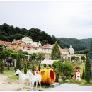 허브 디톡스 센타