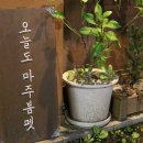 마주봄펫 이미지