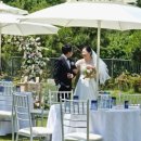 아름다운 정원을 꿈 | 아름다운 정원속 파티장소 더밸리애 총정리