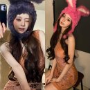 핑크버니 이미지