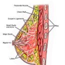 바디스토리 이미지