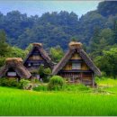 소망부동산중개사무소 이미지