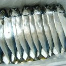 아버지와고등어 이미지