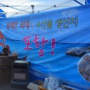 구룡포 과메기 Daum카페