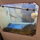 꽃게가찜했어 이미지