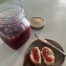 약과 / 돌돌파이 / 영화 오펜하이머 후기 / 중화산동 컬러인커피 스트라다점 / 라니헤어4호점 /천씨씨...