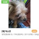 부산진구-11 이미지