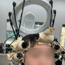 서초대로58길 30 | 교대역 미용실 오즈 서초교대점 선욱 디자이너 중단발 윈드펌 C컬펌 웬디펌 후기