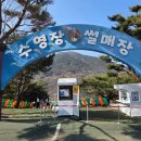 자수정식당 | 자수정동굴나라 눈썰매장 주말 오픈런 후기 | 비닐 텐트•먹거리•키 제한 완벽 정리 (30개월 아이 동반)