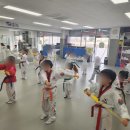 용인대양지태권도장 네이버블로그