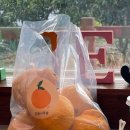 대문안 농장 이미지