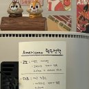 토토(TOTO 1001) 이미지