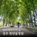 천년숲 | 경주 여행 가볼만한곳, 경북천년숲정원 산책 방문 후기