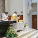 2025년 2월 역사자료 이미지