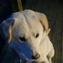 와하하게스트하우스 이미지