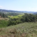 수종농장 이미지