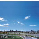 우석자동차학원