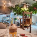 아가마미 고양이카페 | 영통역 고양이카페 아가마미 내돈내산 후기